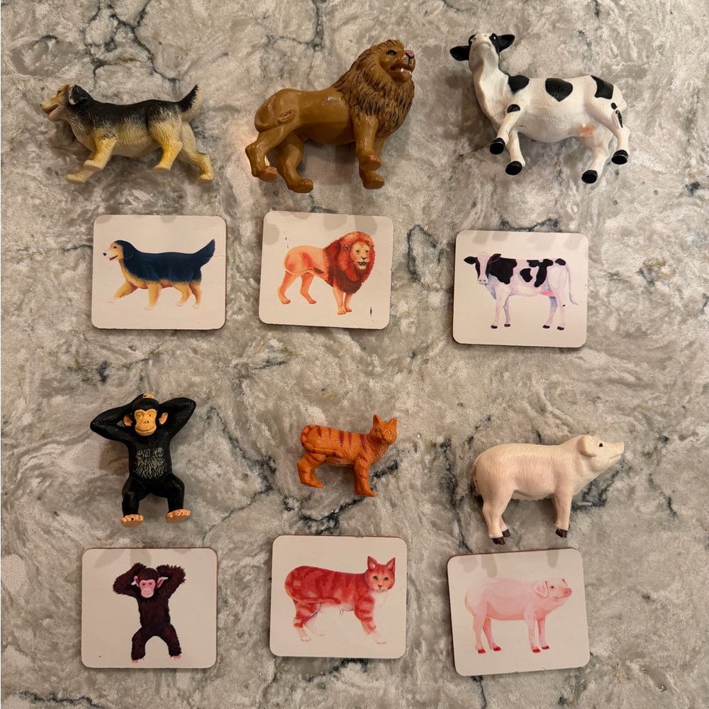 Animal Matching Game Set